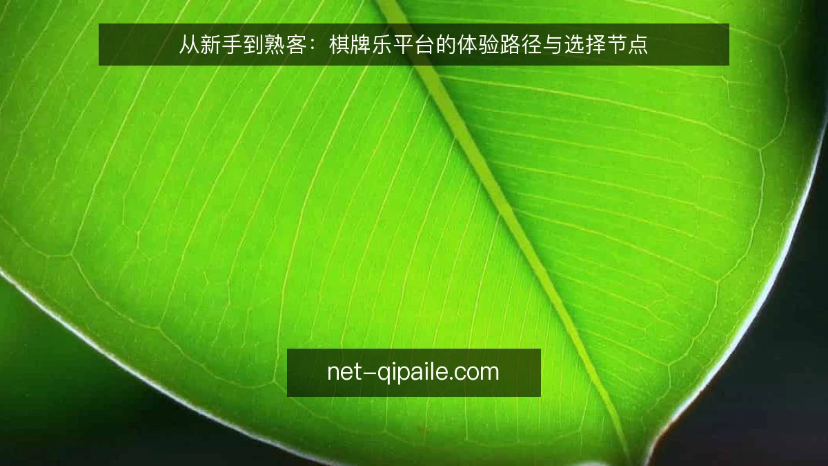 从新手到熟客:棋牌乐平台的体验路径与选择节点
